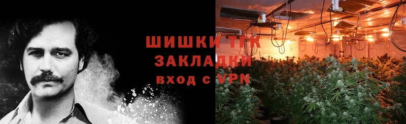 MEGA как войти  Андреаполь  Шишки марихуана SATIVA & INDICA 